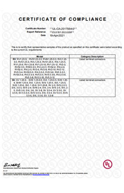 E519787-20210208-Certificateof Compliance